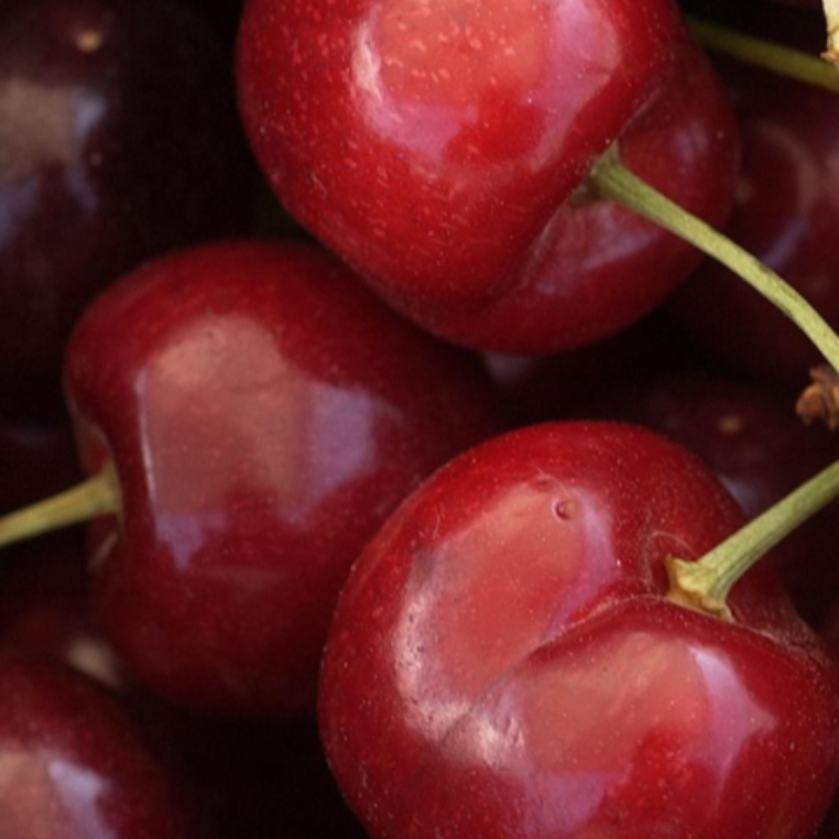 Flavorful Lapin Cherries For Sale | Blooms Cherries