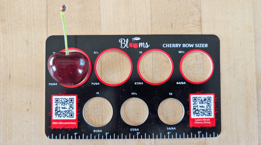 Understanding Cherry Sizes: A Guide to Blooms Cherries Sizes