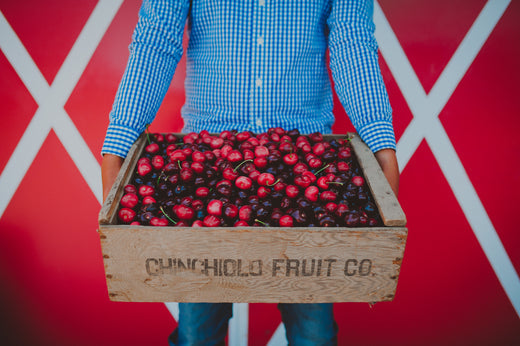 Different Types of Cherries - From Sweet To Sour!