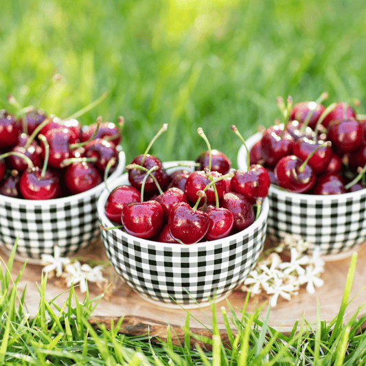 Blooms Sweet Cherries - Chinchiolo Farming