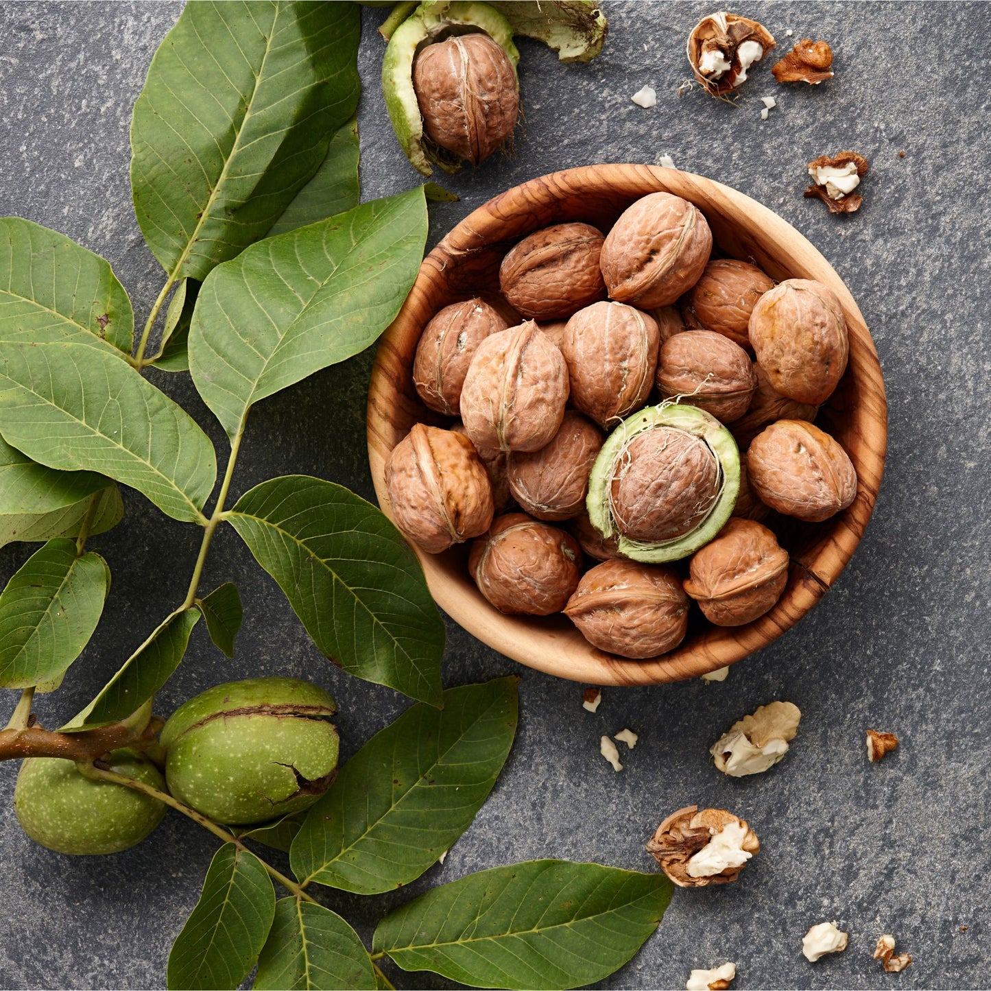 Premium In-Shell California Walnuts