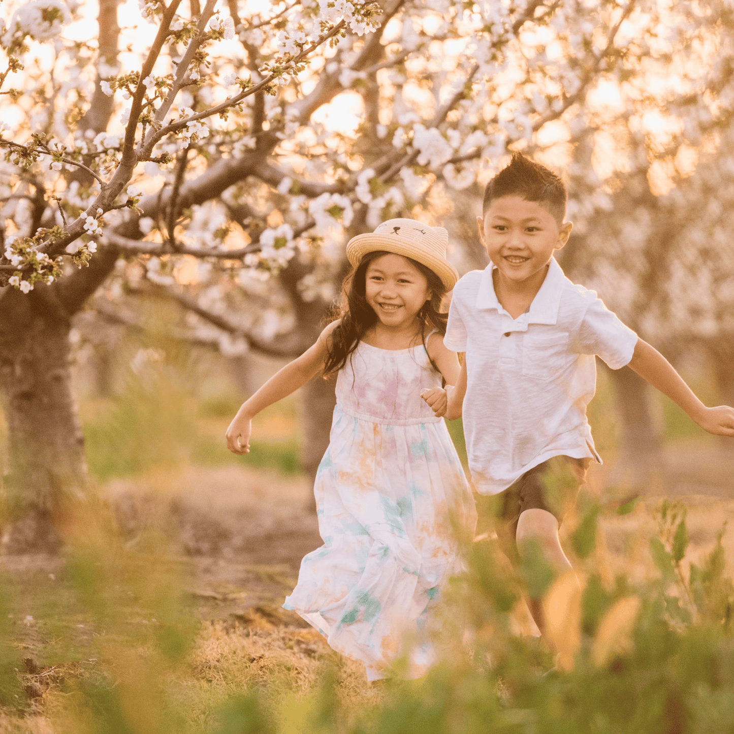 Lodi Blooms Cherry Blossom Photo Session 🌸