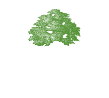 Chinchiolo Farming Co. Inc.